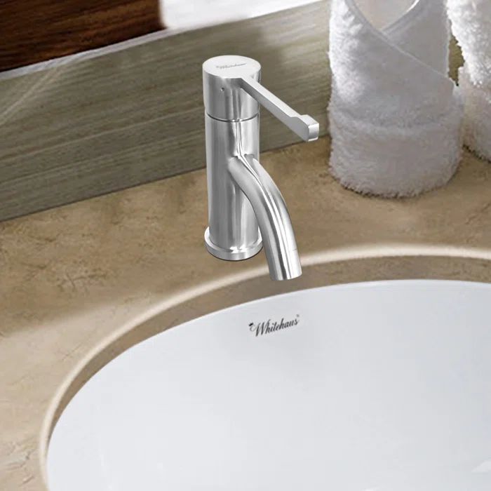 Waterhaus Extended Single Lever Lavatory Faucet in Polished Stainless Steel