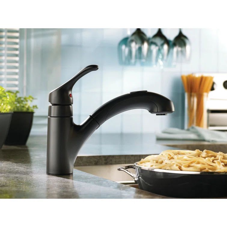 Matte Black Single Handle Pull-Out Kitchen Faucet