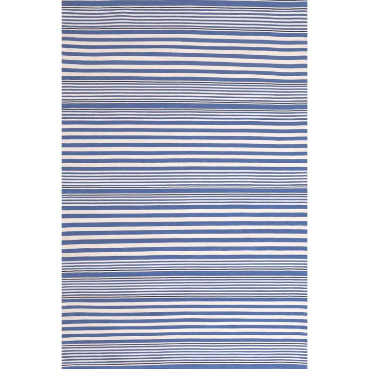 Indoor/Outdoor Denim Stripe Reversible Rug 4' x 6'