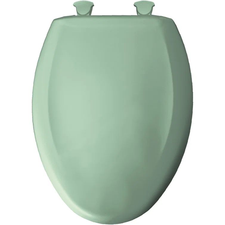 Desert Bloom Gloss Finish Elongated Plastic Toilet Seat with Soft Close Lid