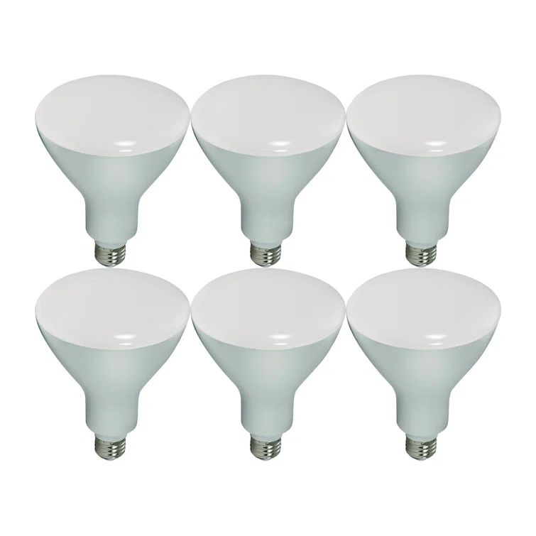75 Watt Equivalent White Frosted Dimmable LED Flood Light Bulbs, 6-Pack