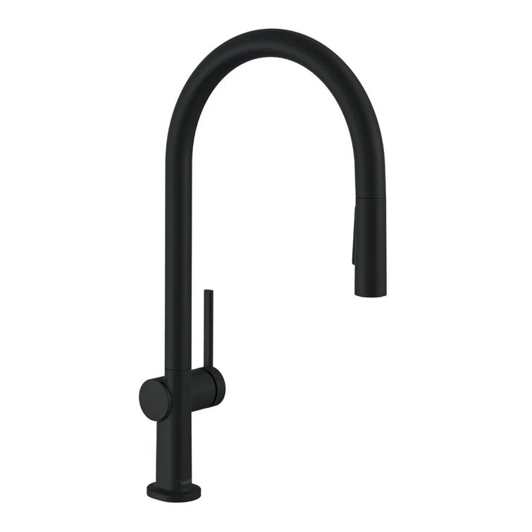 Talis N HighArc 17" Steel Optik Modern Kitchen Faucet with Pull-Out Spray