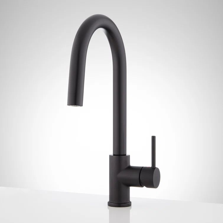 Ravenel Matte Black Pull-Down Kitchen Faucet with Spray