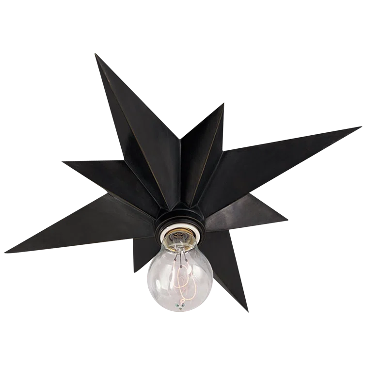 Bronze Crystal Starburst Indoor/Outdoor Flush Mount Light