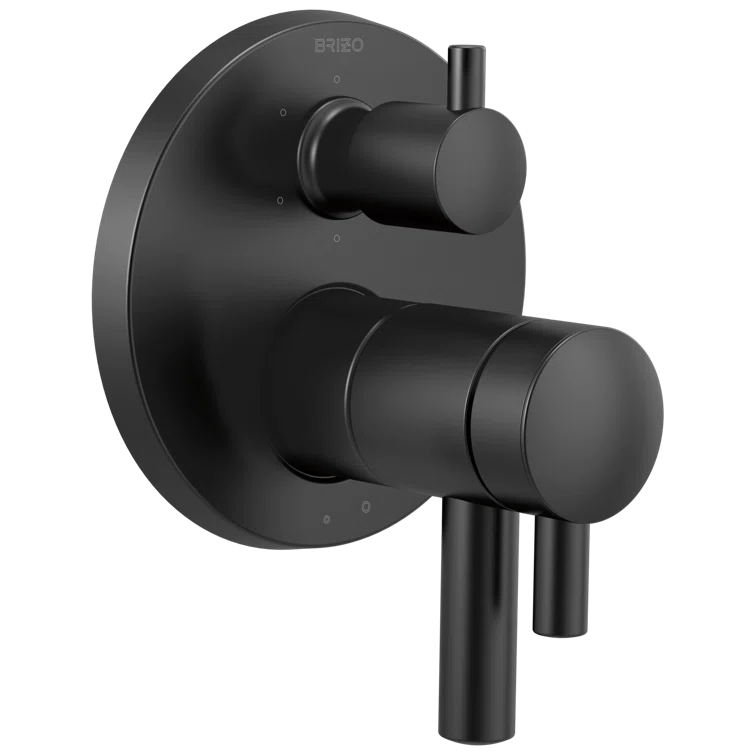 Modern Matte Black Wall-Mounted Lever Shower Trim