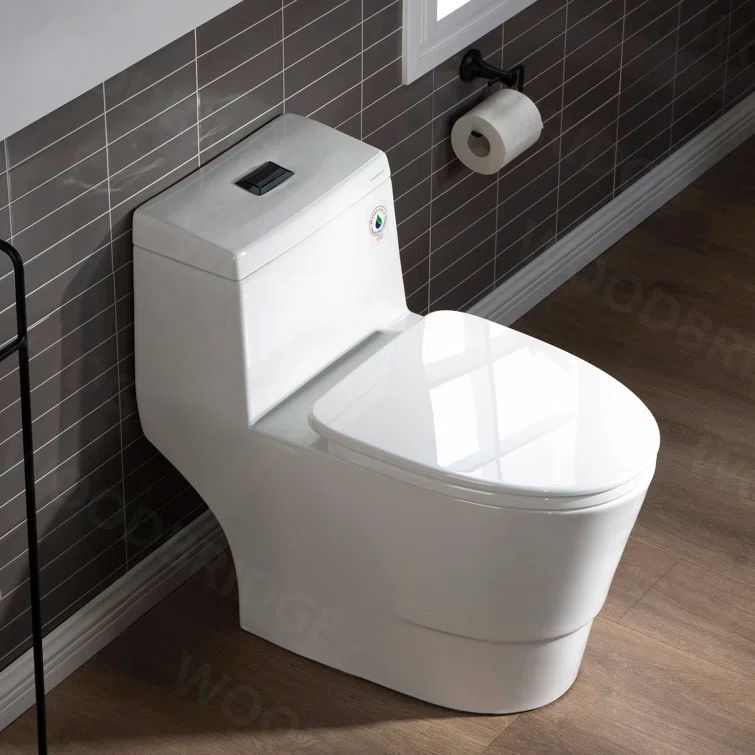 White Elongated High Efficiency Dual Flush Toilet with Matte Black Button