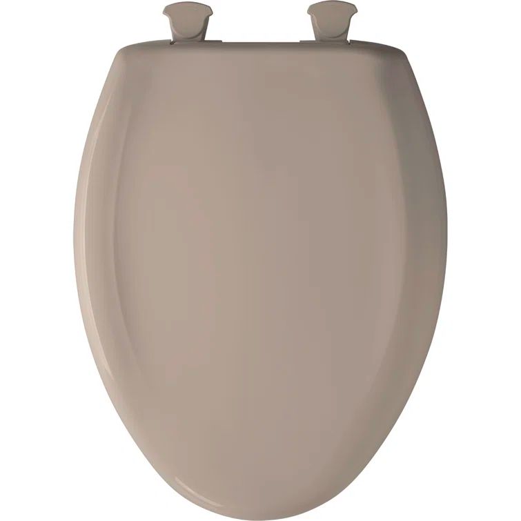 Desert Bloom Gloss Finish Elongated Plastic Toilet Seat