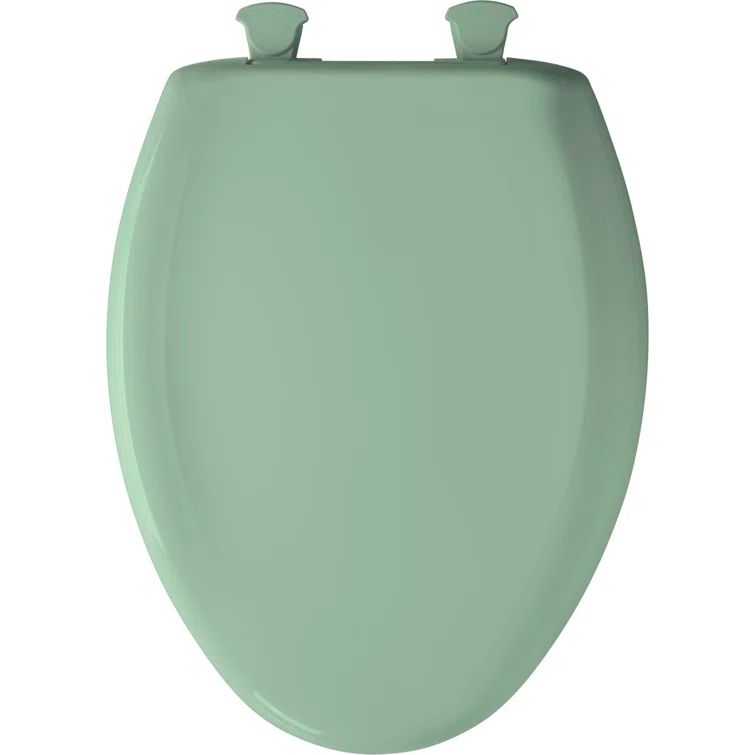 Desert Bloom Gloss Finish Elongated Plastic Toilet Seat with Soft Close Lid
