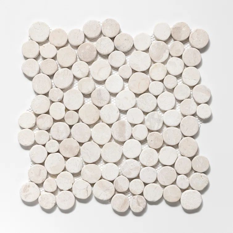 Off-White Natural Stone Penny Round Mosaic Tile