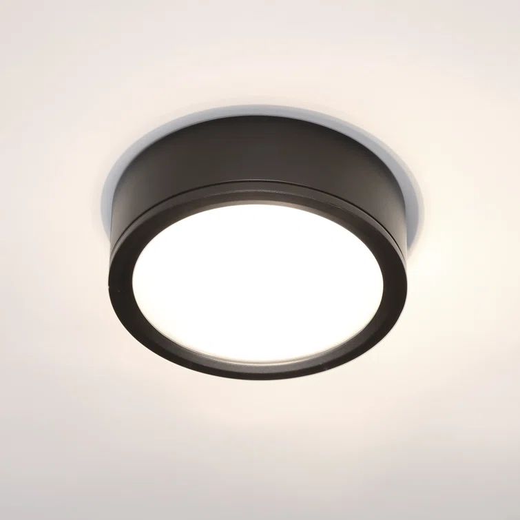 Black Aluminum 12" LED Indoor/Outdoor Flush Mount Light