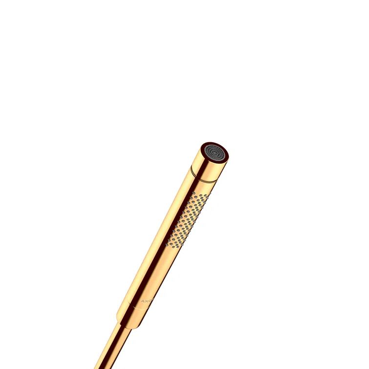 Polished Gold Modern Handheld Shower Head with Quick Clean
