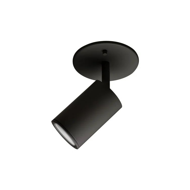 Barclay Black Powder-Coat Adjustable Spotlight