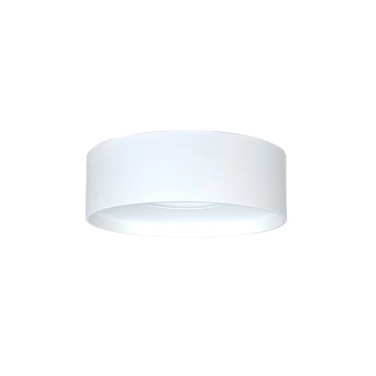 Trenton Sleek White LED Indoor/Outdoor Aluminum Flush Mount