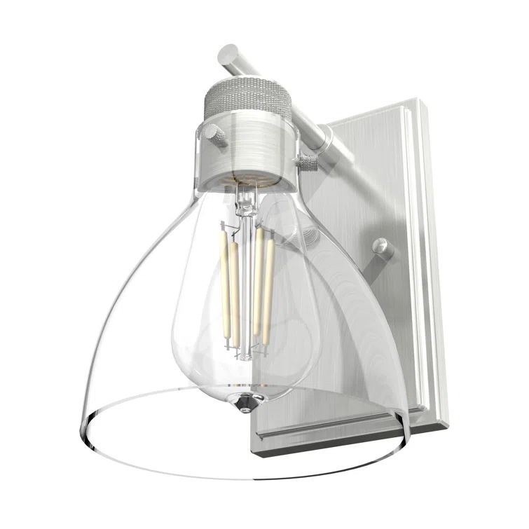 Brushed Nickel 1-Light Outdoor Wall Sconce with Clear Glass Shade