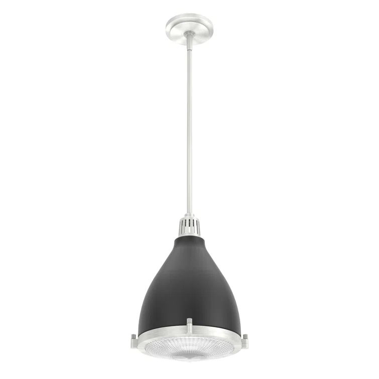 Matte Black and Brushed Nickel Glass Dome Pendant Light