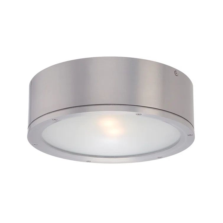 Brushed Aluminum 12" LED Indoor/Outdoor Flush Mount Light