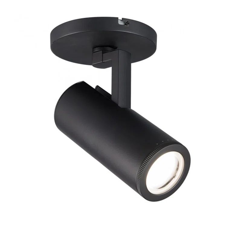 Paloma Black Adjustable LED Spot Light