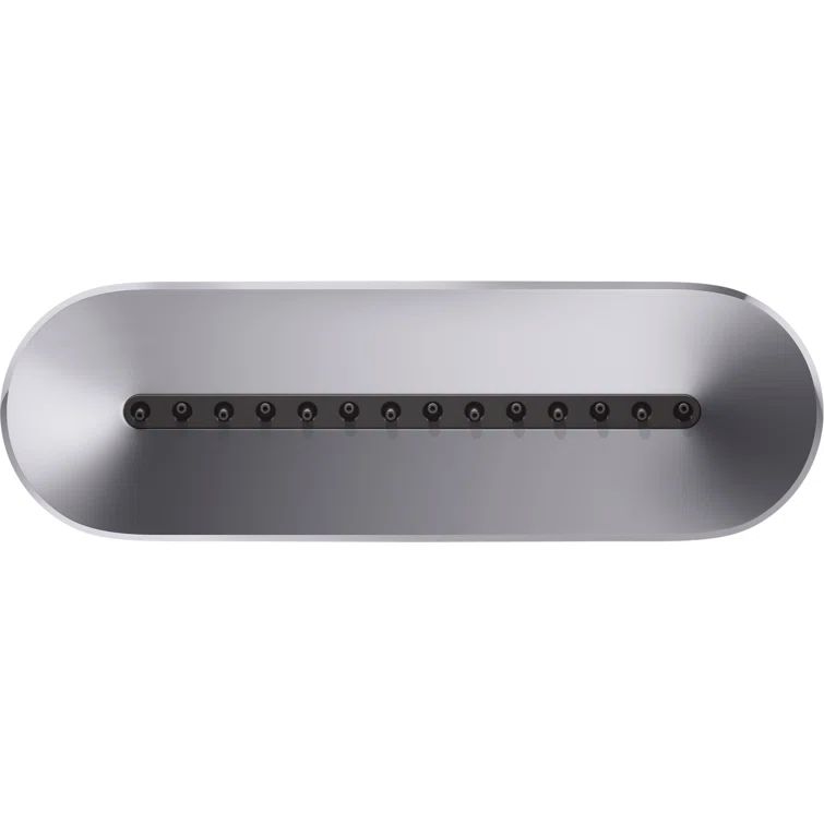 Polished Chrome Oval Single-Function Shower Body Spray