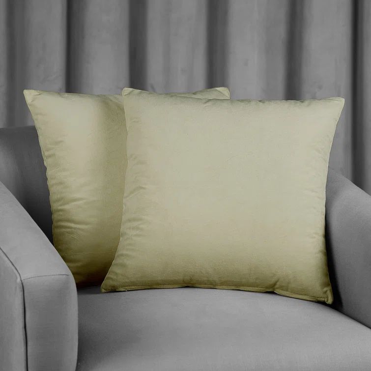 Cool Beige Velvet Decorative Pillow Covers - Set of 2