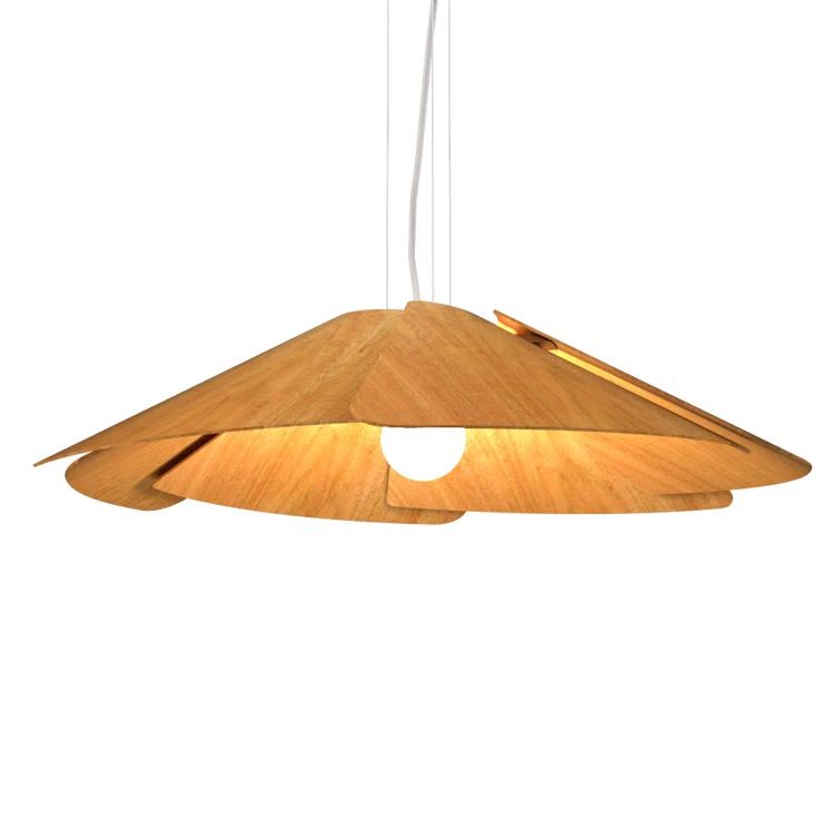 Fuchsia Louro Freijo LED Indoor/Outdoor Pendant Light