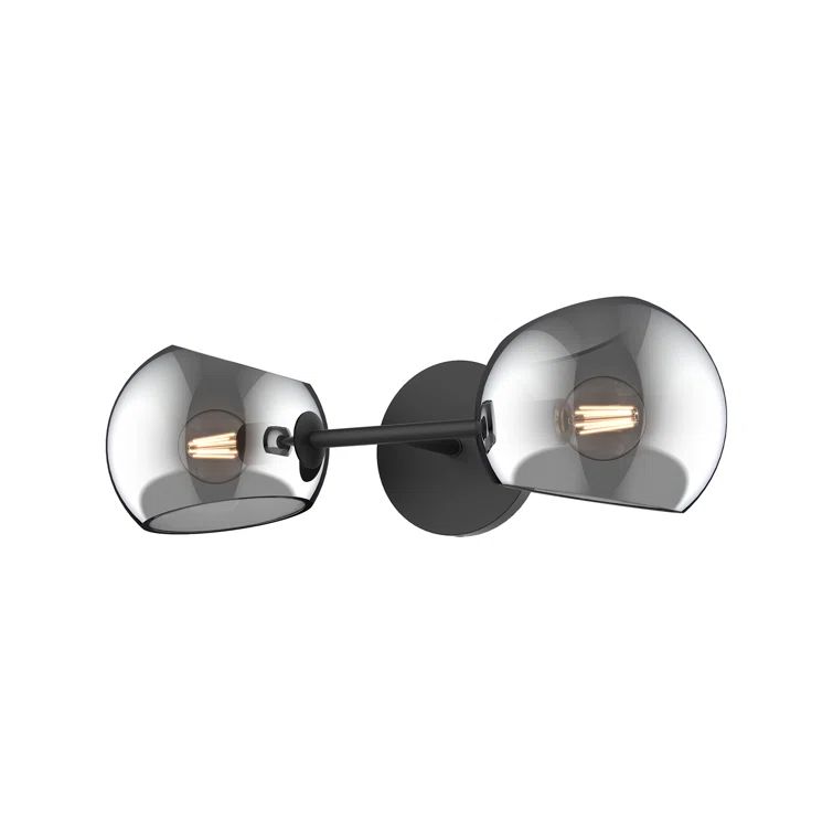 Matte Black Two-Light Vanity with Smoked Glass Shades