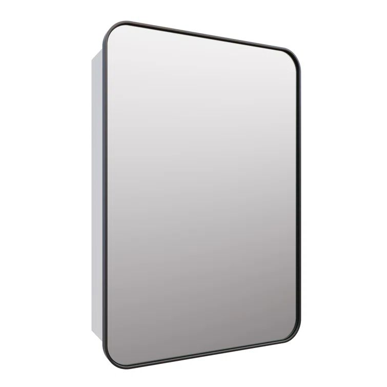 Black Stainless Steel Recessed Medicine Cabinet with Mirror