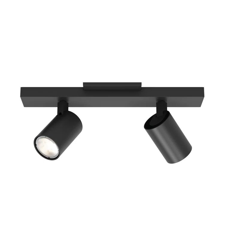 Contemporary Black Finish Adjustable LED Spotlight Flush Mount