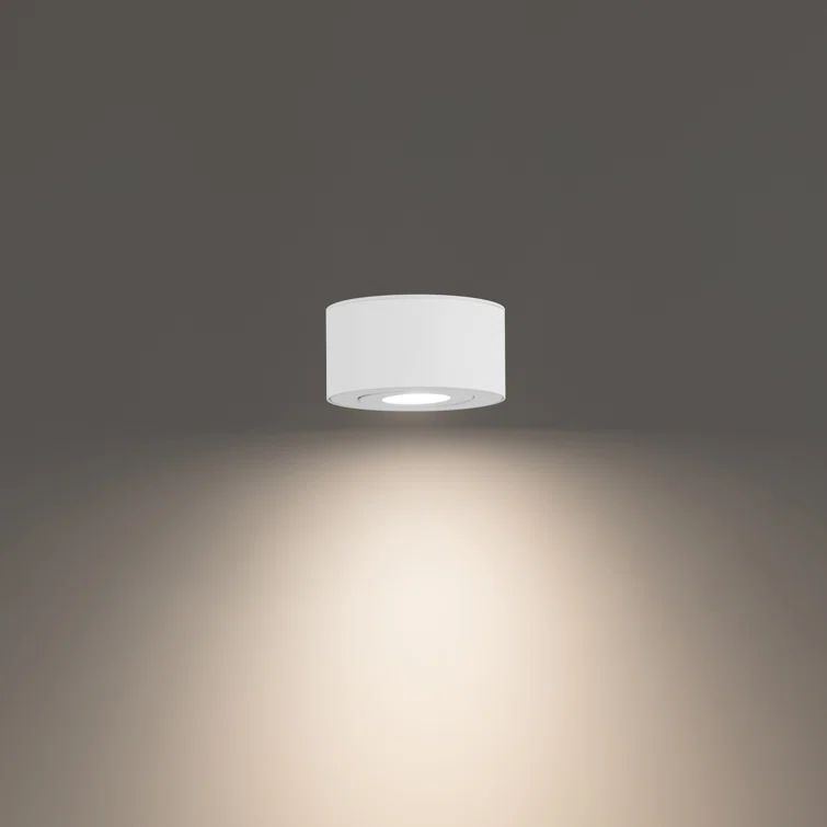 Peek Adjustable Beam LED Indoor/Outdoor Flush Mount in White