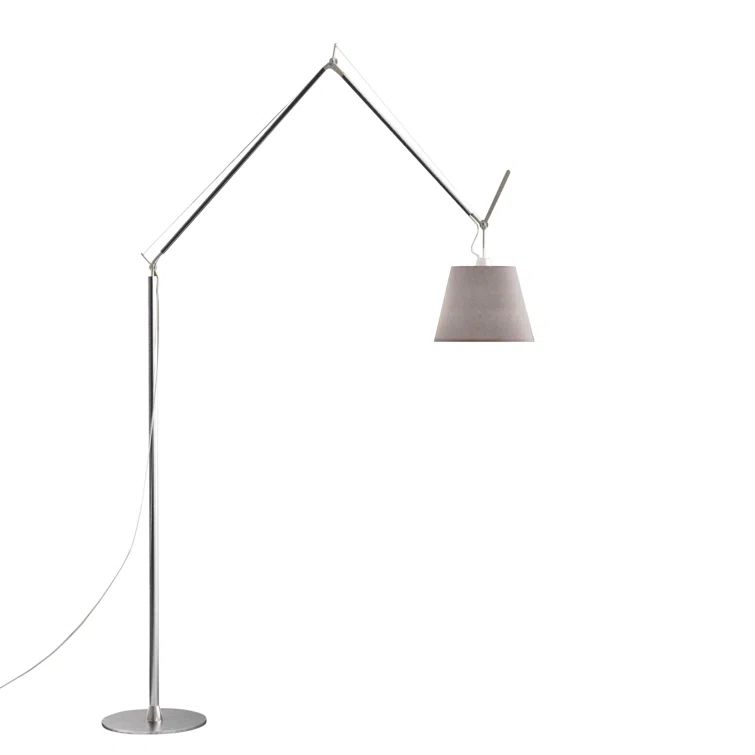 Energy Star Kids' Silver Fiber & Aluminum Task Floor Lamp