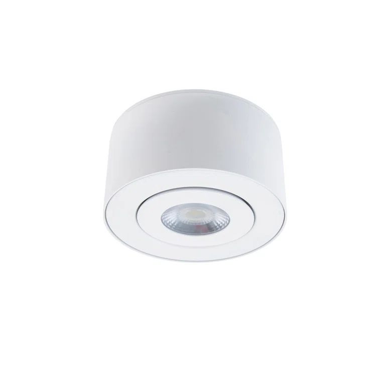 White Aluminum LED Indoor/Outdoor Flush Mount Light