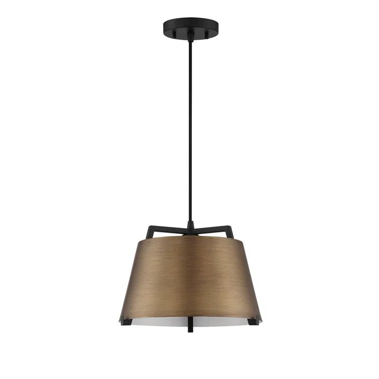 Sky 1-Light Brass & Black Adjustable Drum Pendant