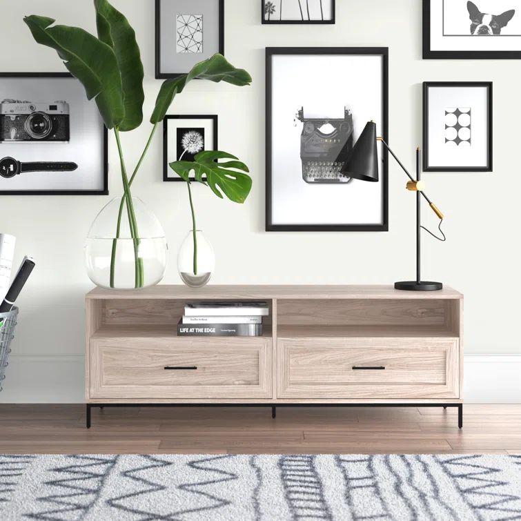 Birch 58" Modern 2-Drawer TV Stand with Black Hardware