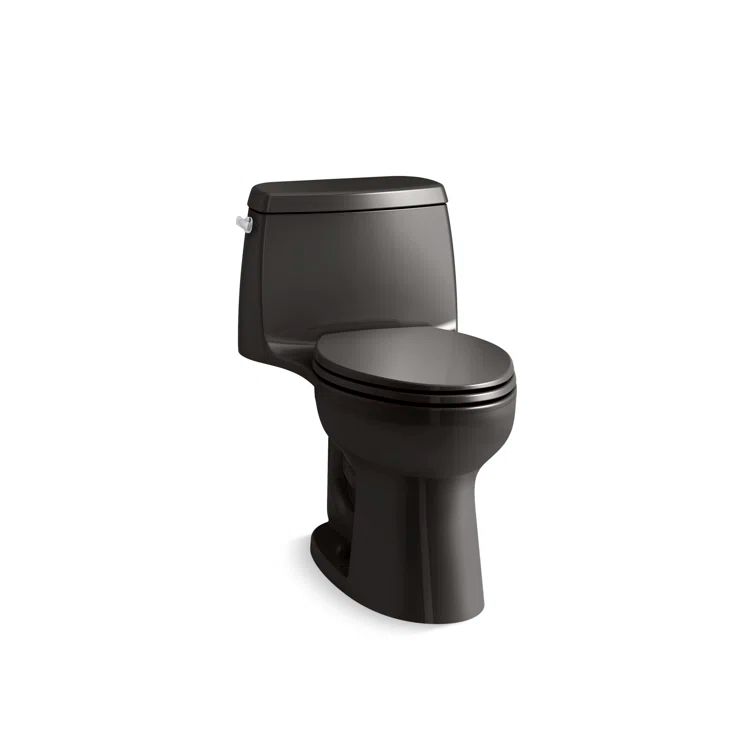 Black High Efficiency One-Piece Elongated Toilet