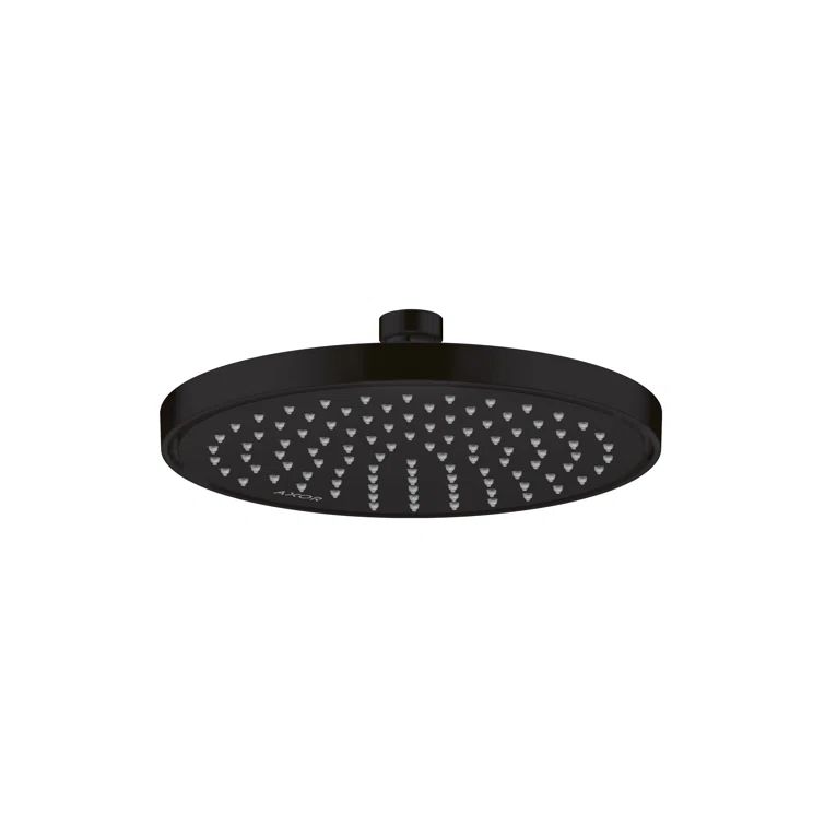 Matte Black Rain Wall Mounted Shower Head