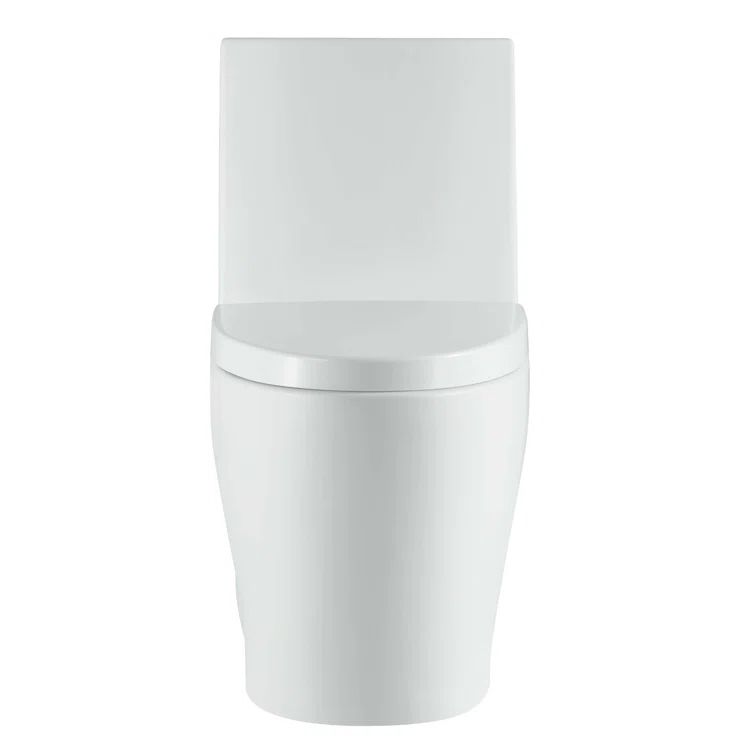 Dual-Flush Elongated One-Piece Toilet with High Efficiency Flush
