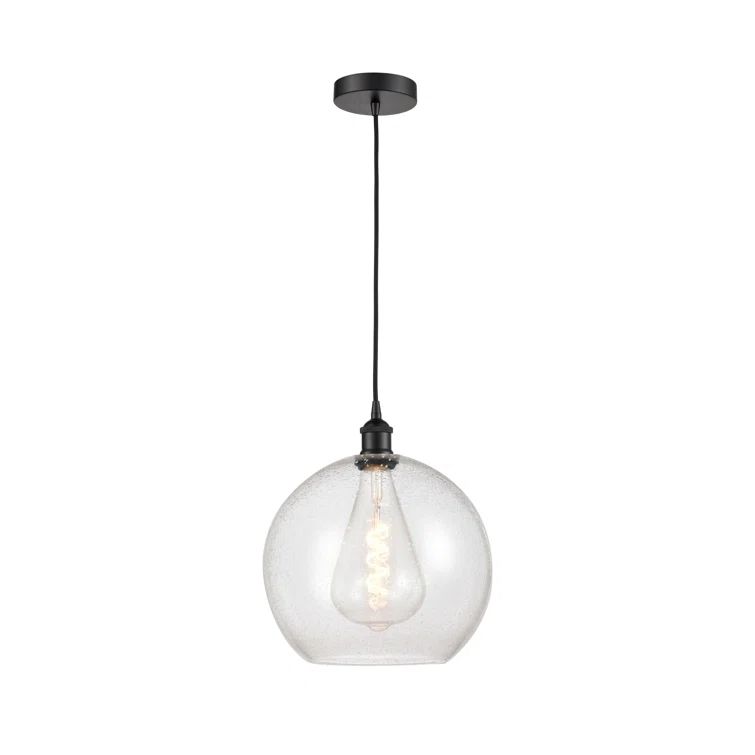 Edison Matte Black 16'' Mini Globe Pendant with Versatile Shades