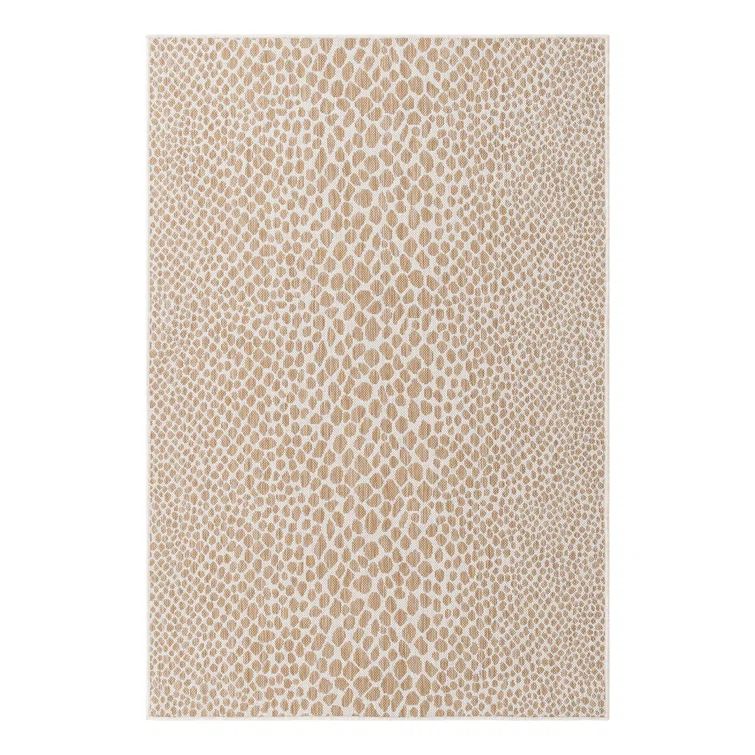 Cape Town Dark Beige Synthetic Outdoor Area Rug 4' x 6'