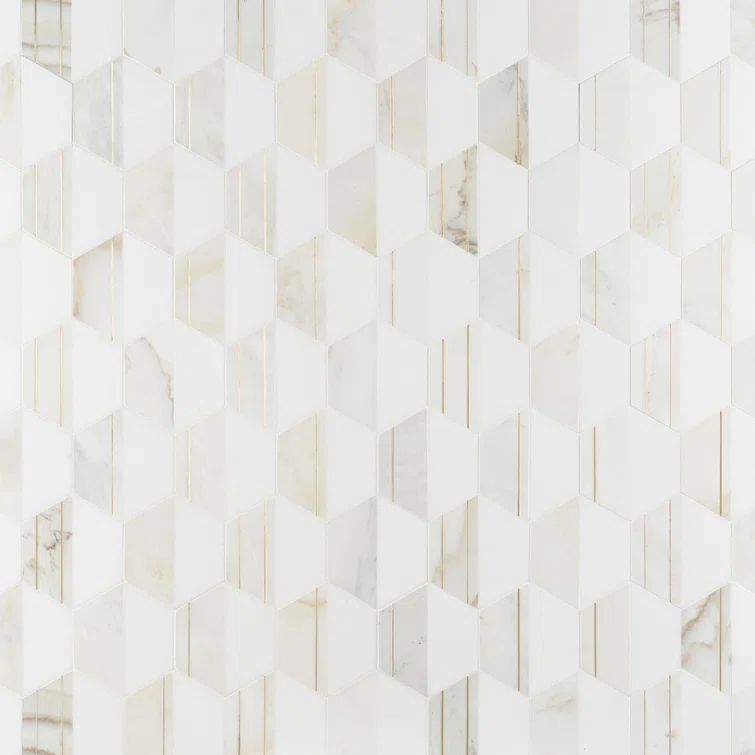 Bianco and Brass Polished Marble Hexagon Mosaic Wall Tile
