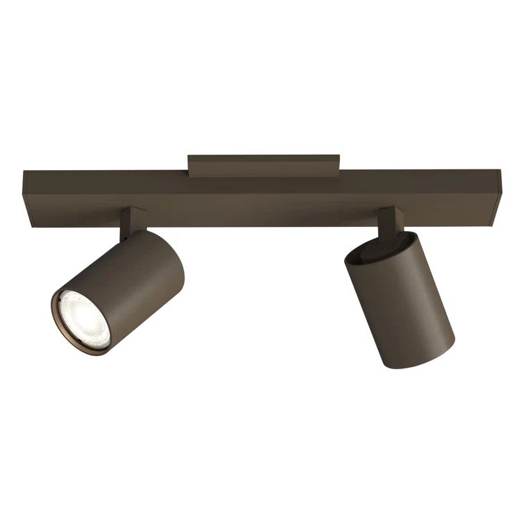 Ascoli Bronze Adjustable 2-Light Metal Spotlight Flush Mount
