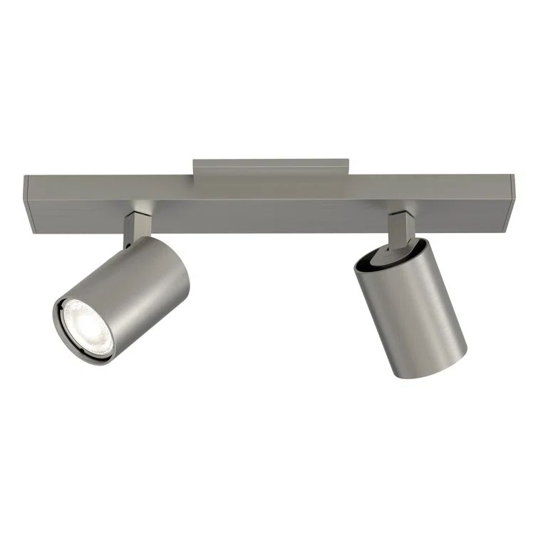 Contemporary Matt Nickel 2-Light Spotlight Ceiling Fixture