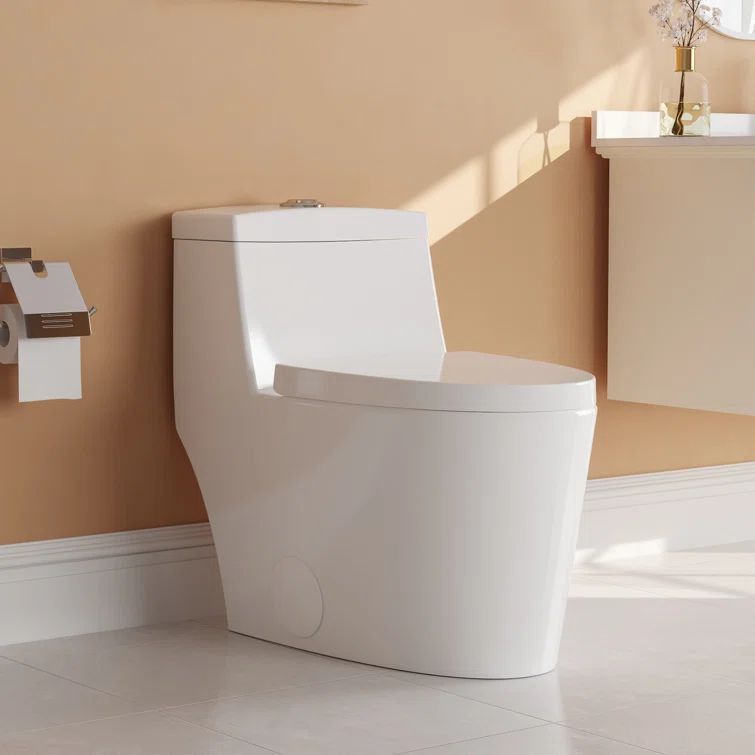 White Elongated Dual-Flush One-Piece Toilet with Silver Button