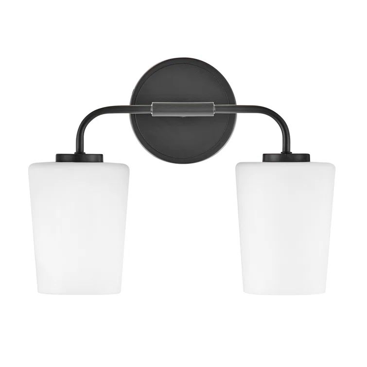Lark Fitz 2-Light Black Dimmable Vanity Light with Etched Opal Shade