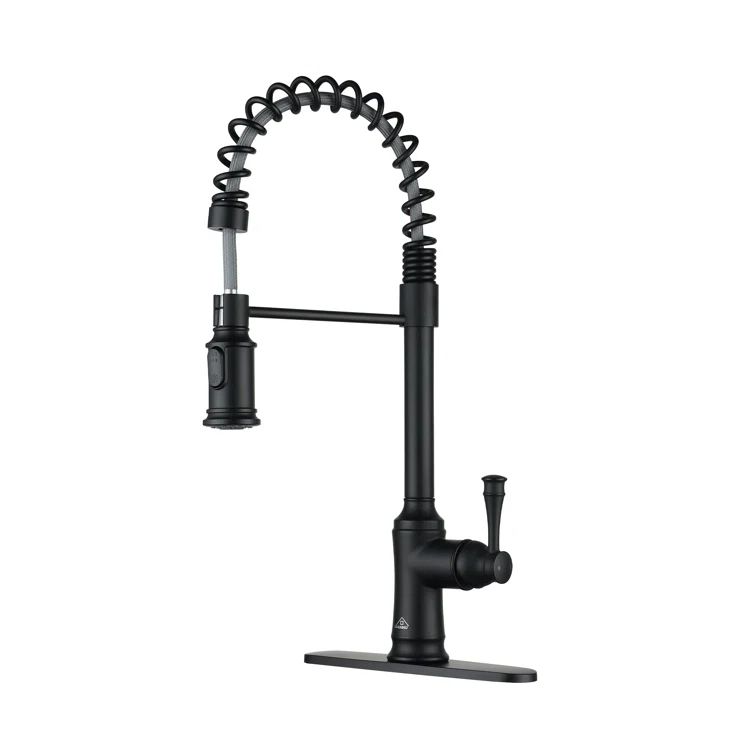 Matte Black Single Handle Spring Neck Kitchen Faucet with Pull-out Spray