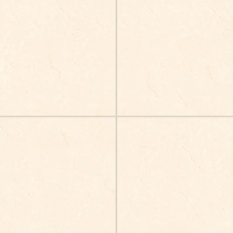 Shandar 24" x 24" Polished Crema Marfil Light Porcelain Tile