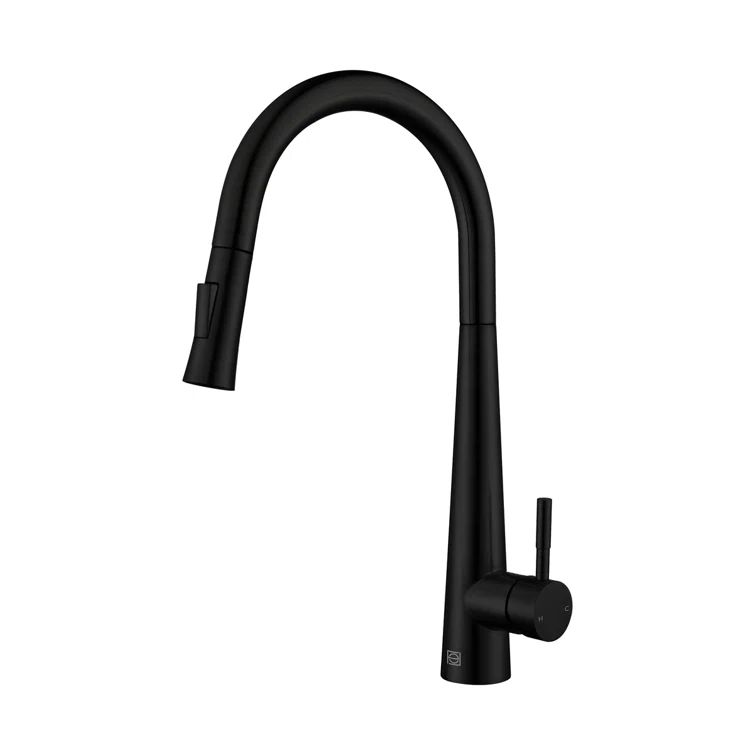 Matte Black Stainless Steel Gooseneck Kitchen Faucet with Pull-out Spray