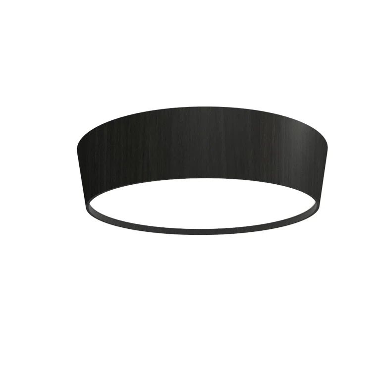 Matte Black Contemporary LED Flush Mount Ceiling Light