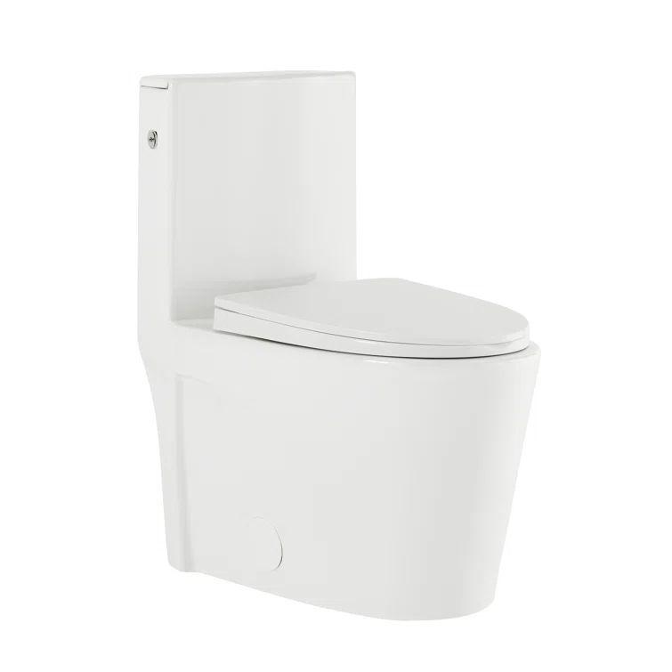 White Glossy One-Piece Elongated Dual Flush Toilet