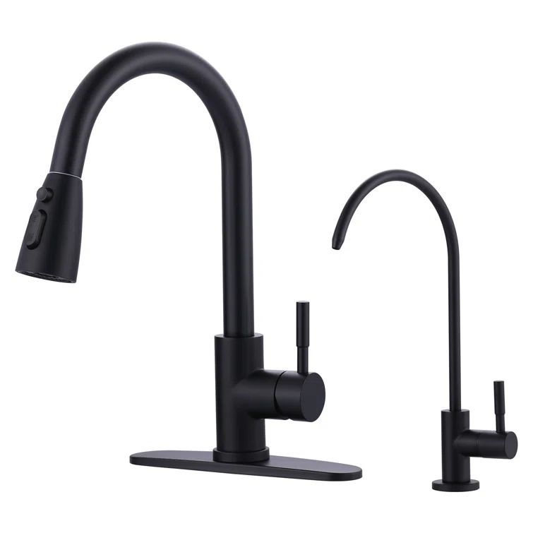 Matte Black Stainless Steel Pull-Down Kitchen Faucet with Water Filter