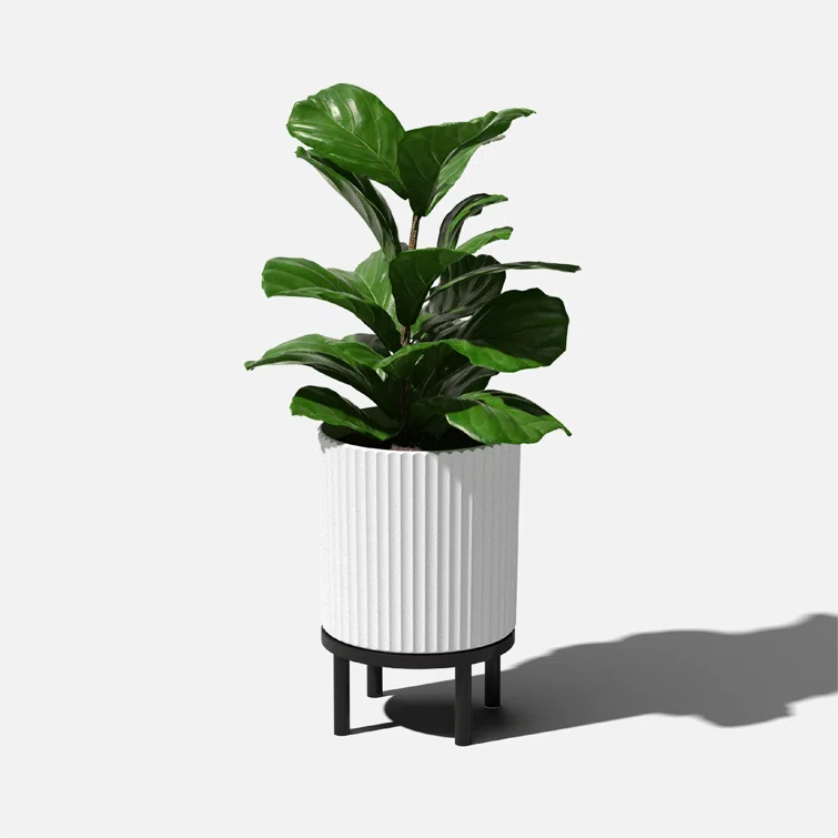 White and Black Fluted Planter with Acacia Wood Stand