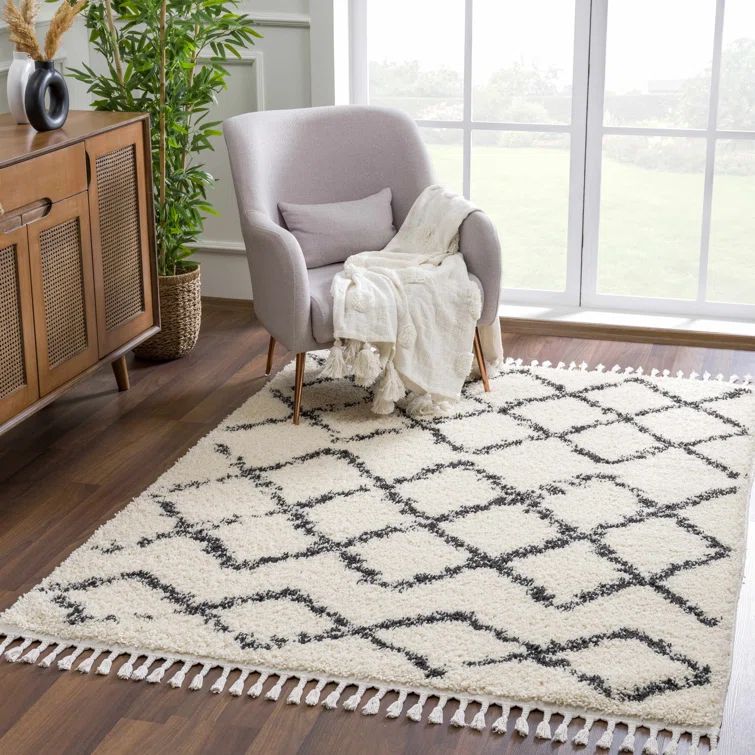 Beige and Black Braided Shag Rectangular Area Rug 5' x 7'